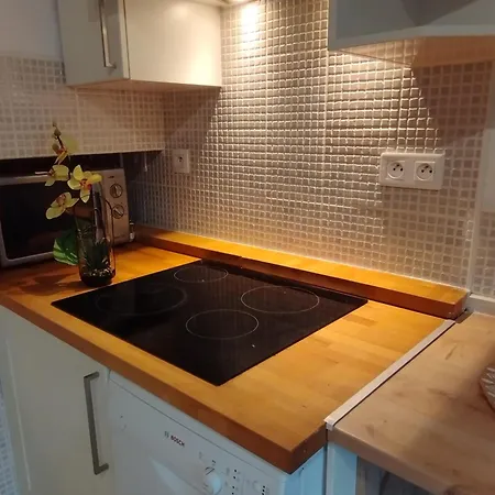 Avec Grande Piscine Animaux Acceptes Apartment